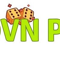 69vnpronet1