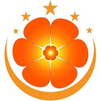 shophoatuoidanangvn