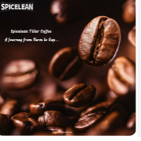 Spicelean