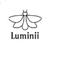 luminiimarketing