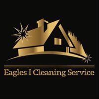 eaglesicleaning.