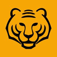 asiantigersgroup