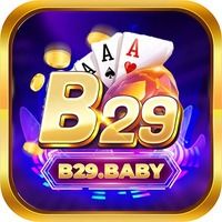 b29baby