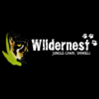 wildernestdandeli