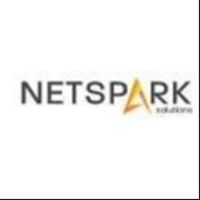 netsparksolution