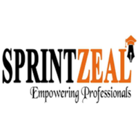 sprintzeal111