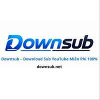 downsubnet