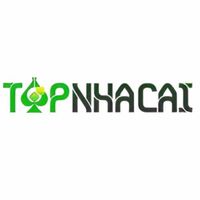 topnhacaivietnet