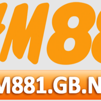 hm881gbnet