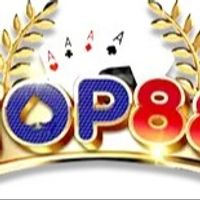 top88nnet
