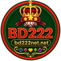 bd222netnet1