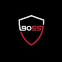 bosssecurity
