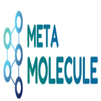 moleculeteam