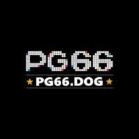 pg66dog1