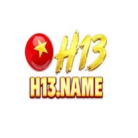 h13name